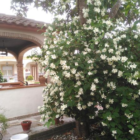 Vivienda Turistica Rural Mari Carmen Villa Baeza Exterior photo
