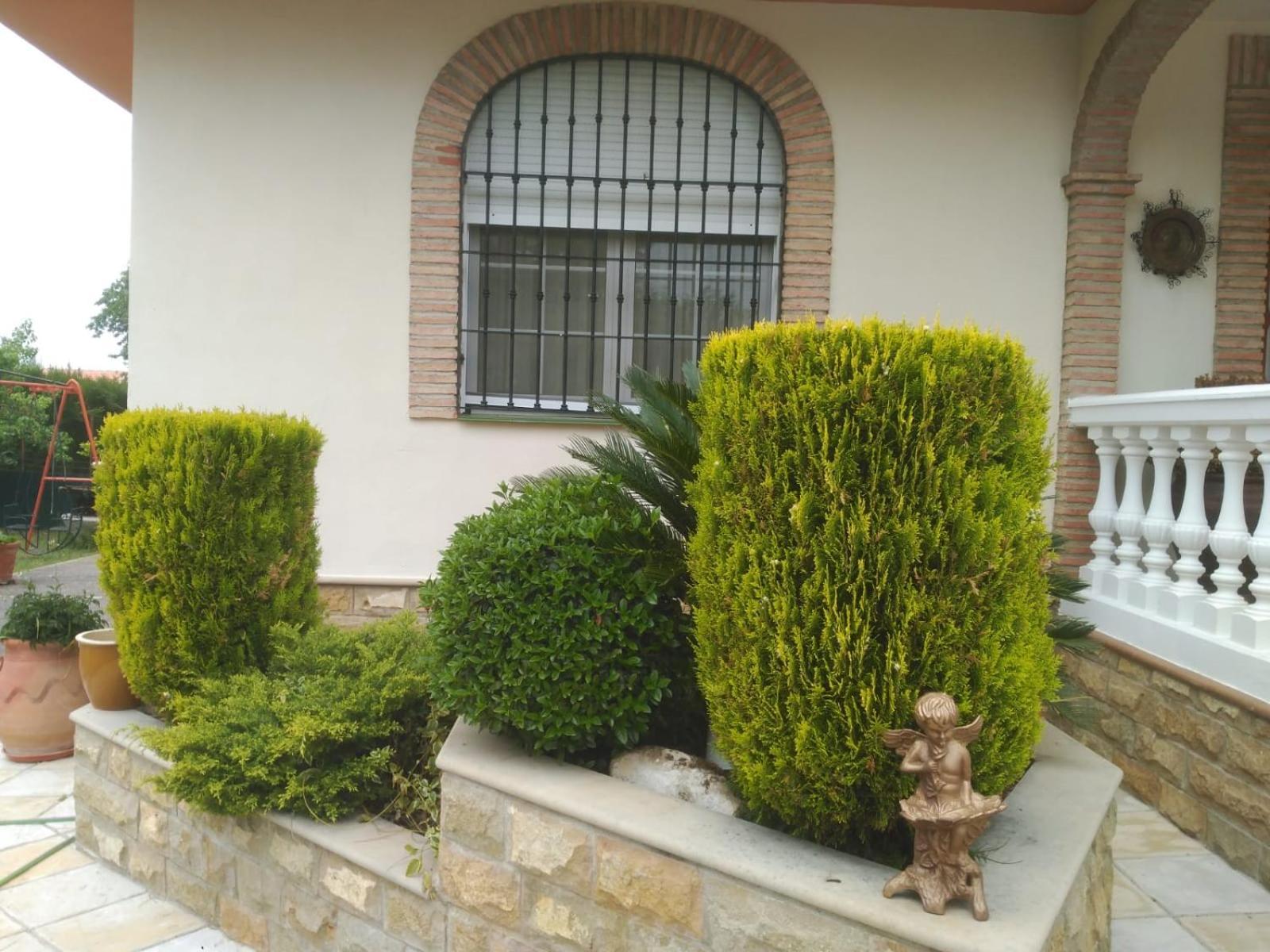 Vivienda Turistica Rural Mari Carmen Villa Baeza Exterior photo